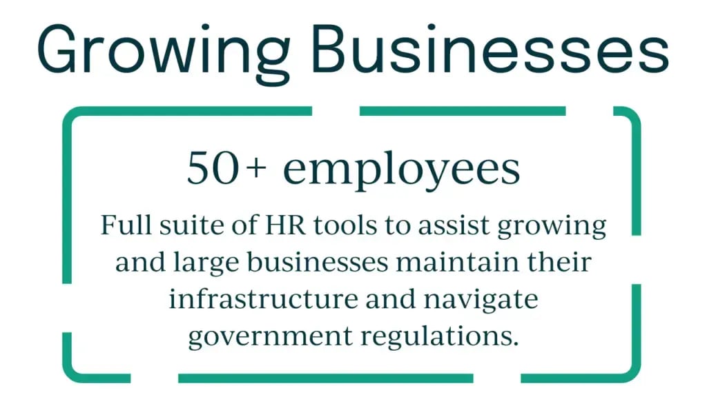 Large-Business-Homepage