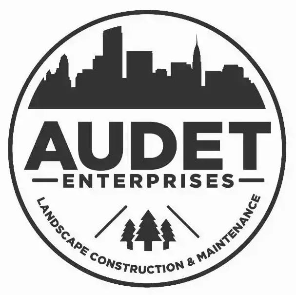audit-1