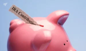 2025 irs contribution limits